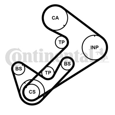 Timing belt set - set, mitsubishi