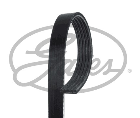 5pk1123 gates ribbed - v-ribbed, belt