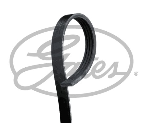 4pk1003 gates ribbed belt - v-ribbed,
