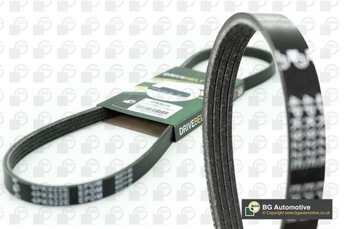 Ribbed belt fits - v-ribbed, alfa