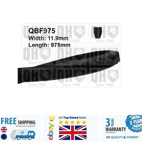 Belt for transporter - v-belt,